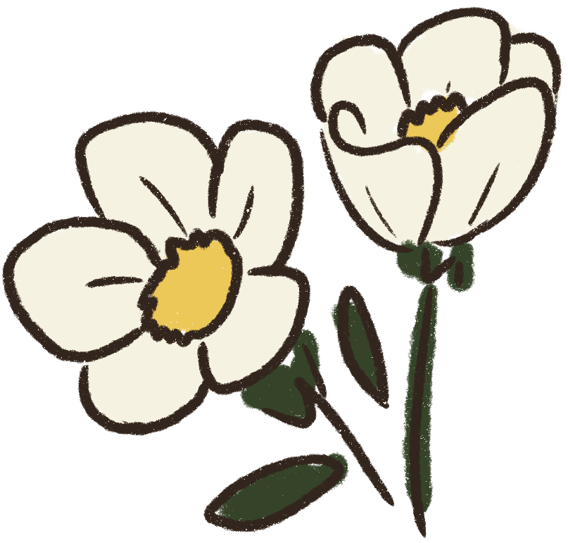 hand-drawn flower