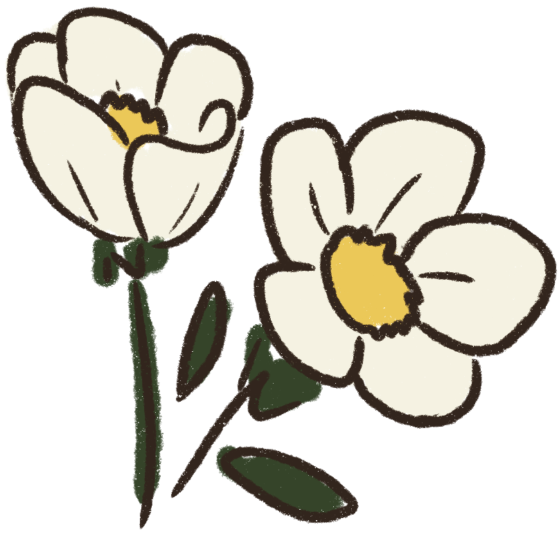 hand-drawn flower